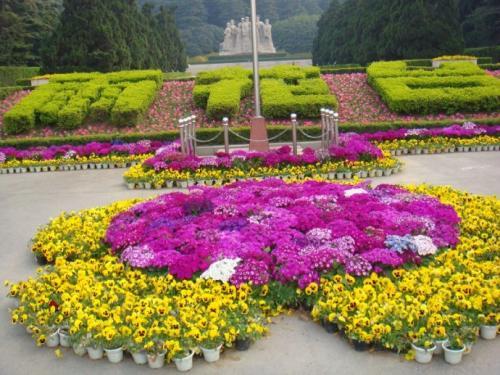 延平区自然灾害预防应急预案演练在梅山街道社区天津塔小区举办 地质灾害 延平区 金山 能力 突发 27日 第1张 延平区自然灾害预防应急预案演练在梅山街道社区天津塔小区举办 地质灾害 延平区 金山 能力 突发 27日 第1张
