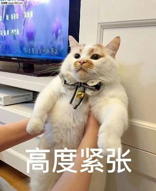 “你因涉嫌不法售卖防护口罩！”厦门市多名群众收到自称为“疾病控制中心”电話，实情是……  口罩 贩卖 当事人 骗子 说辞 冒充 第3张