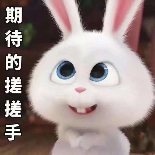 厦门市这地区筹建登岛徒步悬空栈道！长短超出一公里！将来将串连起……  栈道 滨海湿地 生态公园 步行 市民 上岛 第4张