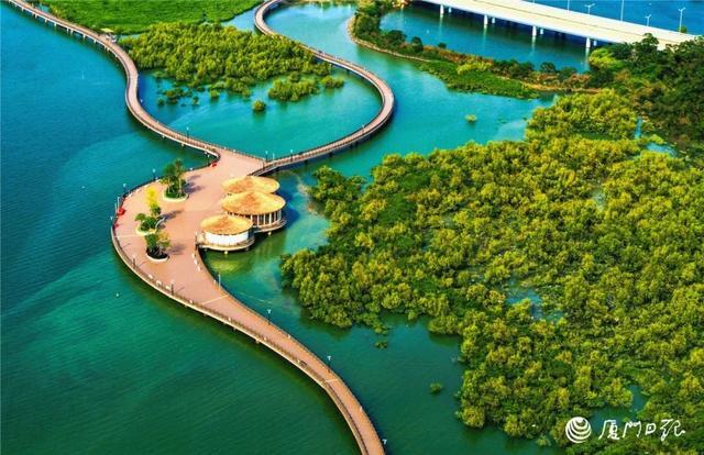 厦门市这地区筹建登岛徒步悬空栈道！长短超出一公里！将来将串连起……  栈道 滨海湿地 生态公园 步行 市民 上岛 第6张