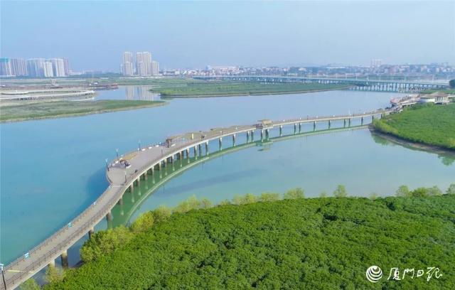 厦门市这地区筹建登岛徒步悬空栈道！长短超出一公里！将来将串连起……  栈道 滨海湿地 生态公园 步行 市民 上岛 第8张