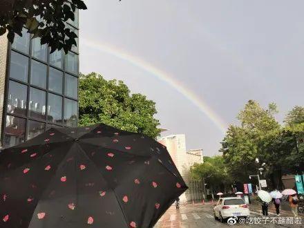 奥利，这里！你今天被厦门双虹筛选了吗？冷空气正要敲门...  第9张