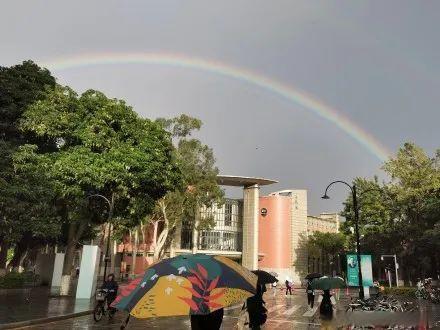 奥利，这里！你今天被厦门双虹筛选了吗？冷空气正要敲门...  第10张