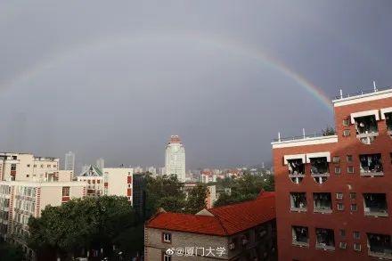 奥利，这里！你今天被厦门双虹筛选了吗？冷空气正要敲门...  第14张