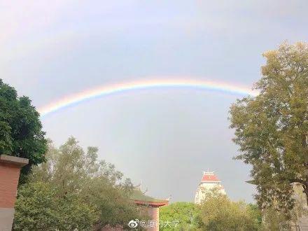 奥利，这里！你今天被厦门双虹筛选了吗？冷空气正要敲门...  第13张