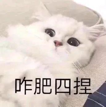 岛内“禁哨”已经25年了，但是乱哨的现象又死灰复燃？交警:违章鸣笛罚款100元！  第14张