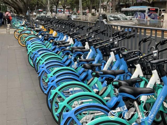 厦门岛有一辆共享电动车。你能骑它吗？交警:上路处罚300元！  共享 记者 电动自行车 车辆 9元 投放 第2张