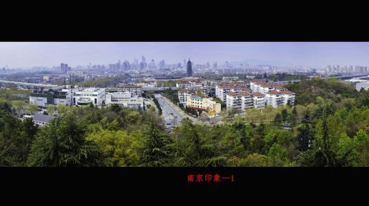 邵武:政府服务齐全，线上线下无缝对接。  政务服务 旗舰店 邵武 办件 受理 线下 第1张