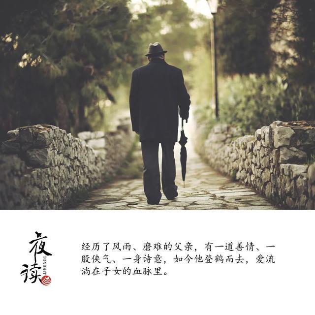 夜读|父亲一生。  父亲 孩子们 大姐 作者 栏目 吕云 第2张