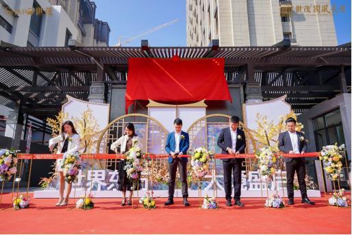 不要安静！盛世国风下的园林基准，一进来就不想离开。  世茂国风 12月27 实景 园林 长安 第3张