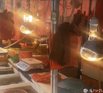 3.6℃!厦门冬天气温创新低！电杆“煮”活鱼，“腐竹”烤螃蟹...海鲜保温。  温度 气温 强冷空气 海鲜店 最低气温 恒温箱 第4张