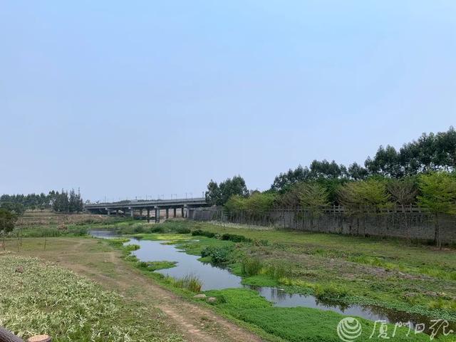 鸡蛋煮了一个小时，游客排队泡脚...厦门有一个天然温泉。  第6张