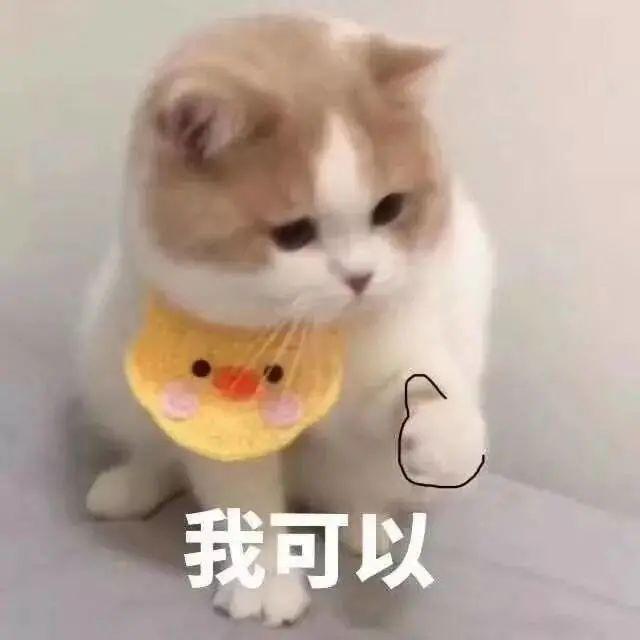 提高20%！促进厦门高质量发展，他们做了许多实事→→。  金融服务 厦门 服务 支持 厦门市 金融 第2张