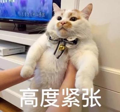厦门最困人的山地在哪里？权威数据提供路线……  登山 滚蛋谷 东坪山 山地 驴友 吴华 第2张